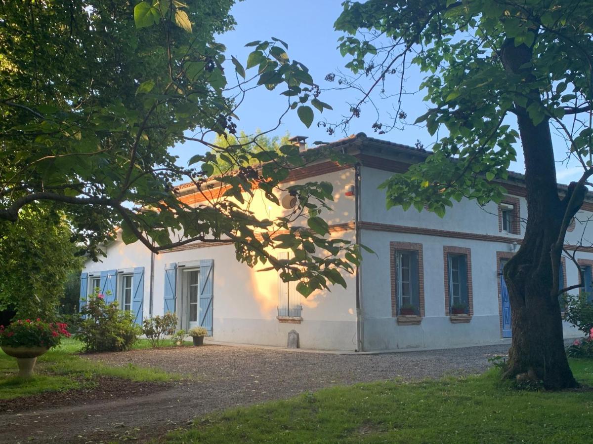 Villa Toulousaine Grisolles  Exteriér fotografie
