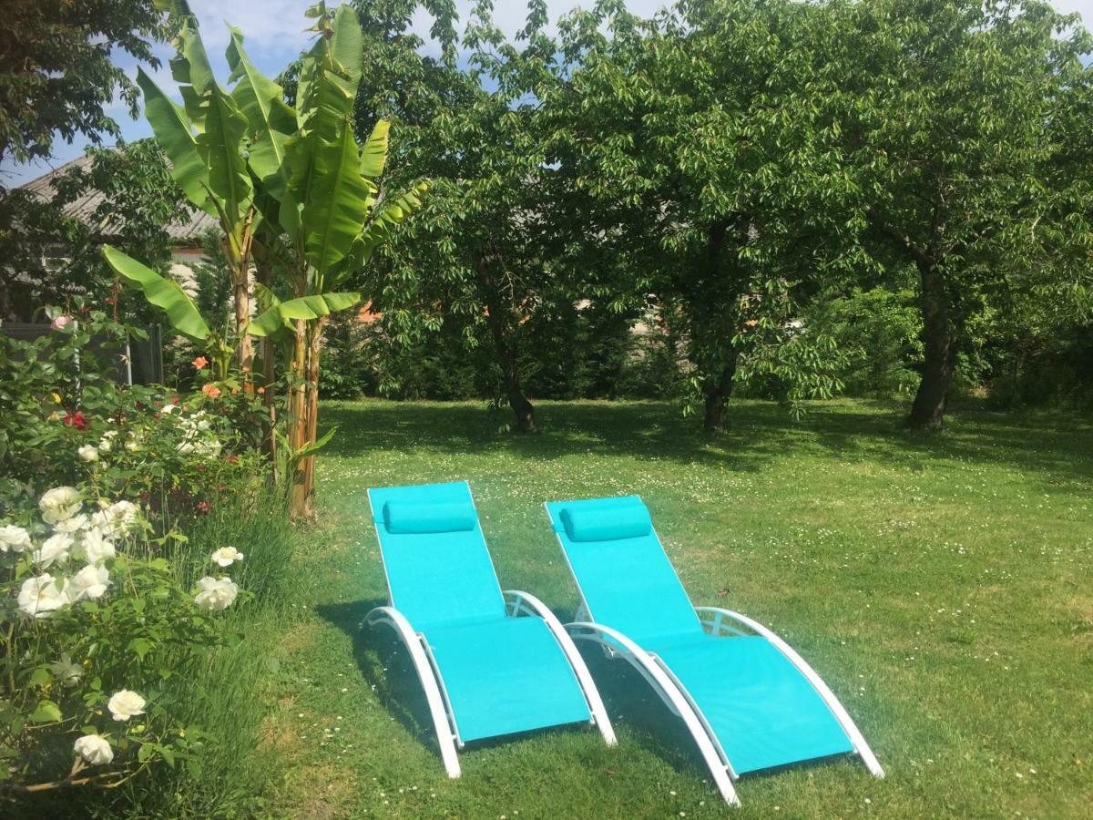 Villa Toulousaine Grisolles  Exteriér fotografie