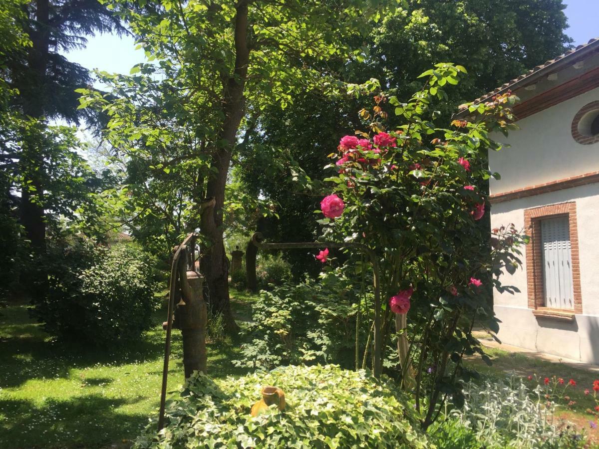 Villa Toulousaine Grisolles  Exteriér fotografie