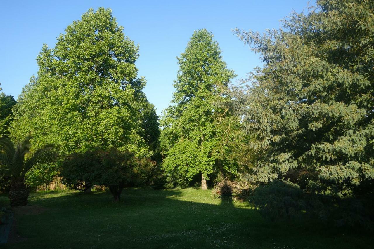 Villa Toulousaine Grisolles  Exteriér fotografie