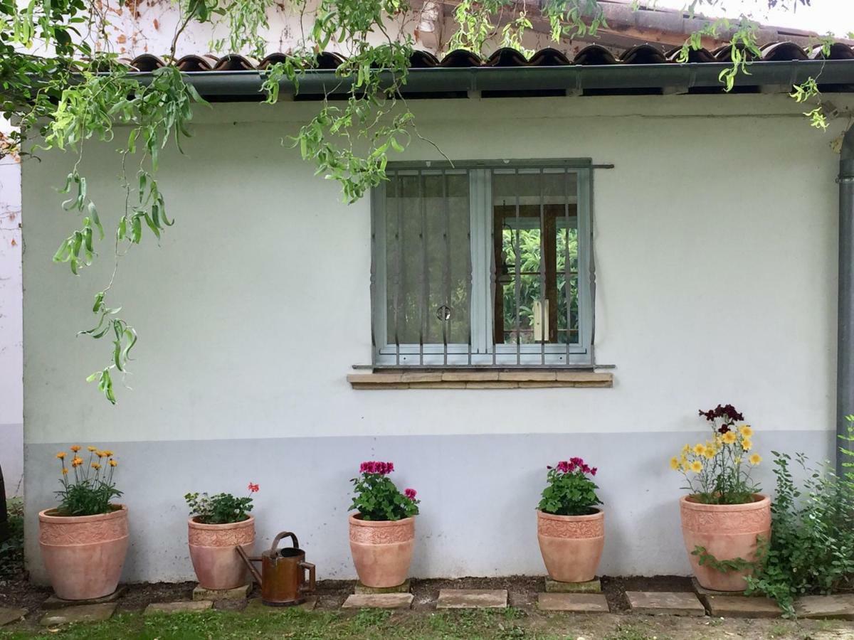 Villa Toulousaine Grisolles  Exteriér fotografie